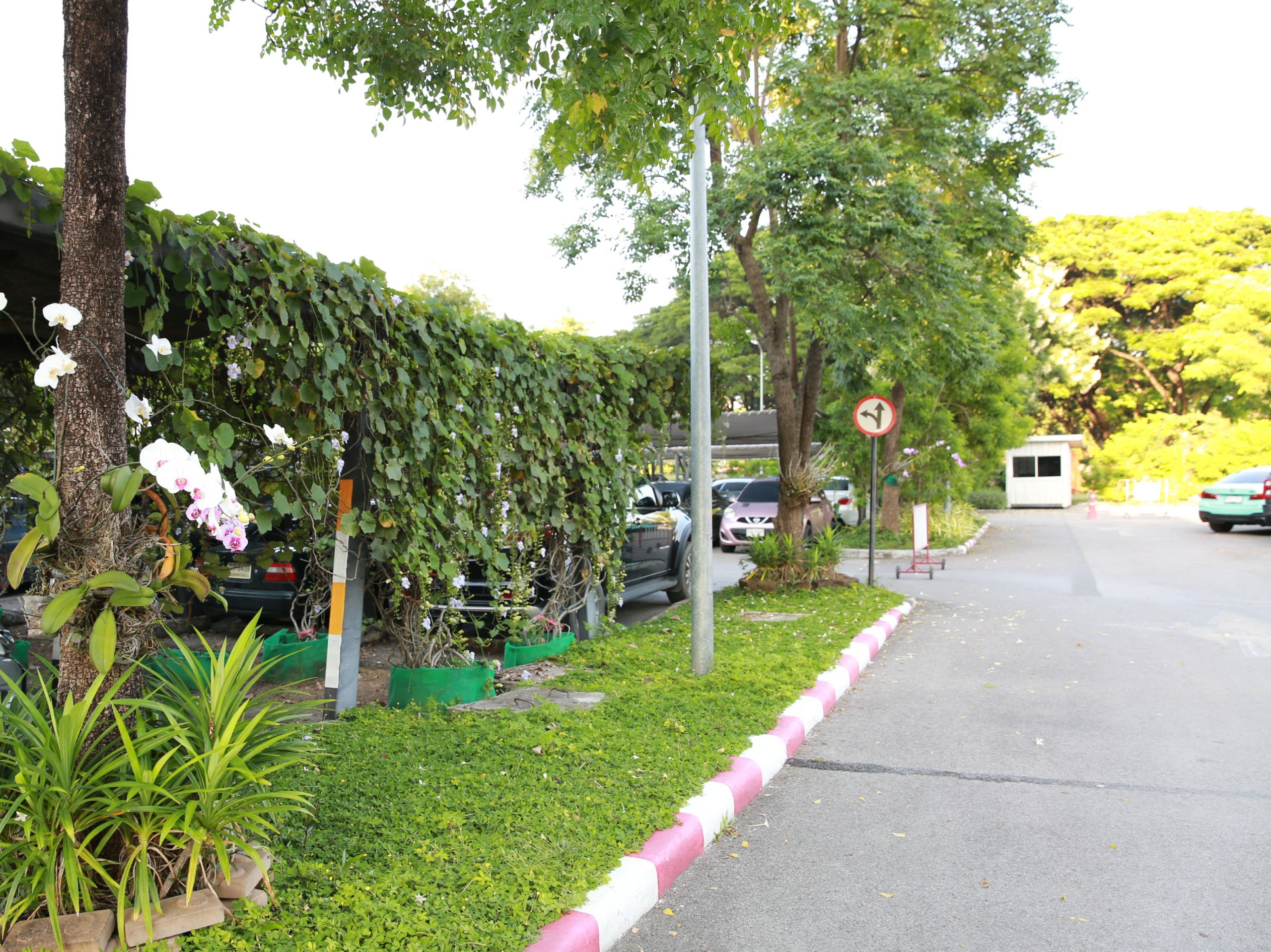 Green Hospital Bangkok Hospital Chiang Mai