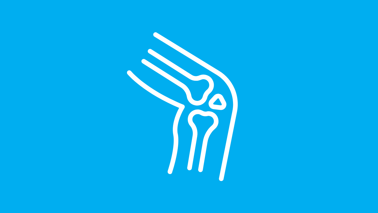 Orthopedic Clinic Spine