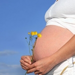 healthy pregnancy program