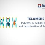 TELOMERE Package - Bangkok Hospital Chiang Mai