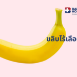 Thumbnail ขลิบไร้เลือด
